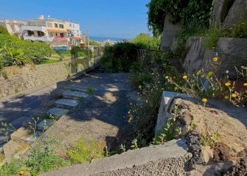 Giardino - Trilocale Ischia - foto 24