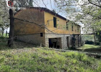 Foto 1 - Rustico via Fontevecchia
 
snc, Montescudaio - foto 1