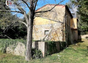 Foto 5 - Rustico via Fontevecchia
 
snc, Montescudaio - foto 5