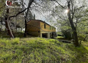 Foto 7 - Rustico via Fontevecchia
 
snc, Montescudaio - foto 7