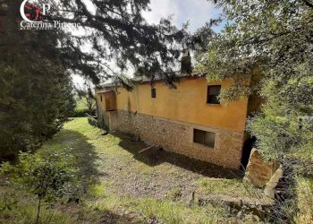 Foto 9 - Rustico via Fontevecchia
 
snc, Montescudaio - foto 9