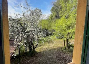 Foto 10 - Rustico via Fontevecchia
 
snc, Montescudaio - foto 10