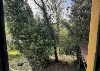 Foto 11 - Rustico via Fontevecchia
 
snc, Montescudaio - foto 11