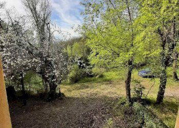 Foto 12 - Rustico via Fontevecchia
 
snc, Montescudaio - foto 12