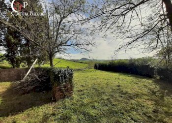 Foto 14 - Rustico via Fontevecchia
 
snc, Montescudaio - foto 14