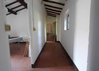 Foto 21 - Rustico via Fontevecchia
 
snc, Montescudaio - foto 21