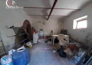 Foto 35 - Rustico via Fontevecchia
 
snc, Montescudaio - foto 35