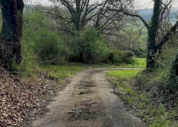 Foto 39 - Rustico via Fontevecchia
 
snc, Montescudaio - foto 39