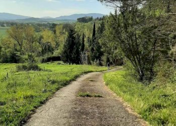 Foto 40 - Rustico via Fontevecchia
 
snc, Montescudaio - foto 40