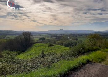 Foto 41 - Rustico via Fontevecchia
 
snc, Montescudaio - foto 41