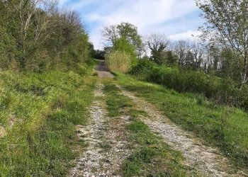 Foto 42 - Rustico via Fontevecchia
 
snc, Montescudaio - foto 42