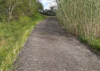 Foto 43 - Rustico via Fontevecchia
 
snc, Montescudaio - foto 43