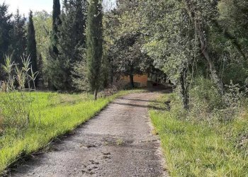 Foto 44 - Rustico via Fontevecchia
 
snc, Montescudaio - foto 44