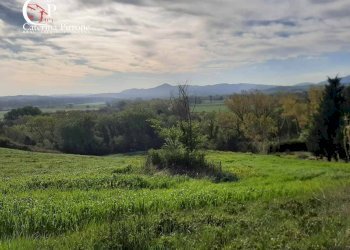 Foto 46 - Rustico via Fontevecchia
 
snc, Montescudaio - foto 46