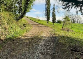 Foto 48 - Rustico via Fontevecchia
 
snc, Montescudaio - foto 48