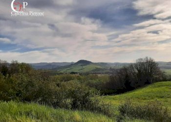 Foto 49 - Rustico via Fontevecchia
 
snc, Montescudaio - foto 49