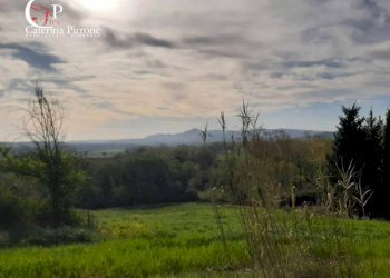 Foto 50 - Rustico via Fontevecchia
 
snc, Montescudaio - foto 50