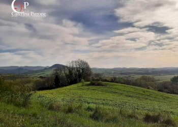 Foto 51 - Rustico via Fontevecchia
 
snc, Montescudaio - foto 51