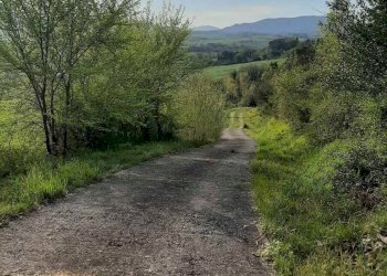 Foto 52 - Rustico via Fontevecchia
 
snc, Montescudaio - foto 52