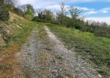 Foto 53 - Rustico via Fontevecchia
 
snc, Montescudaio - foto 53