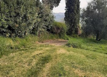 Foto 55 - Rustico via Fontevecchia
 
snc, Montescudaio - foto 55