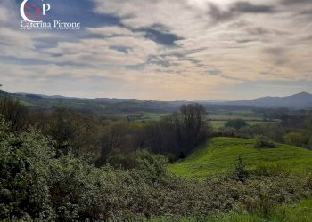 Foto 57 - Rustico via Fontevecchia
 
snc, Montescudaio - foto 57