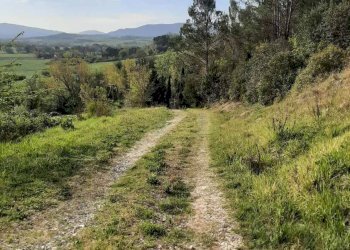 Foto 58 - Rustico via Fontevecchia
 
snc, Montescudaio - foto 58