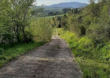 Foto 59 - Rustico via Fontevecchia
 
snc, Montescudaio - foto 59