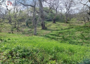 Foto 17 - Rustico località La Castellina
 
20, San Godenzo - foto 17