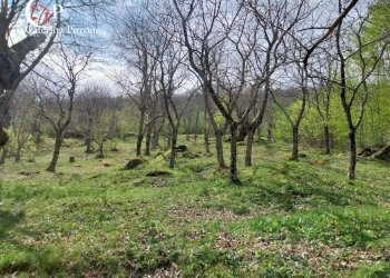 Foto 18 - Rustico località La Castellina
 
20, San Godenzo - foto 18