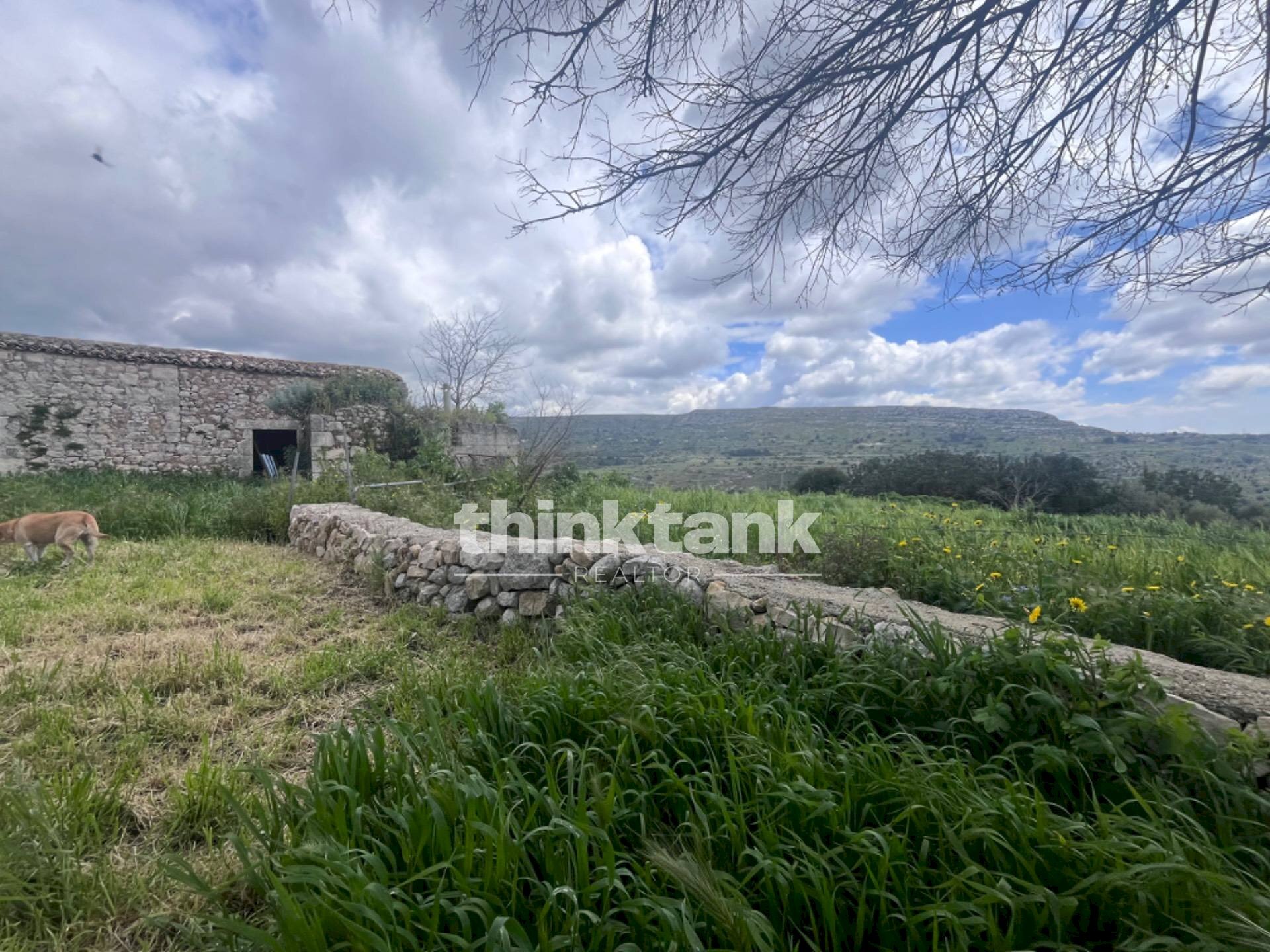 Foto 3 - Rustic Sp 73, Ragusa - photo 3