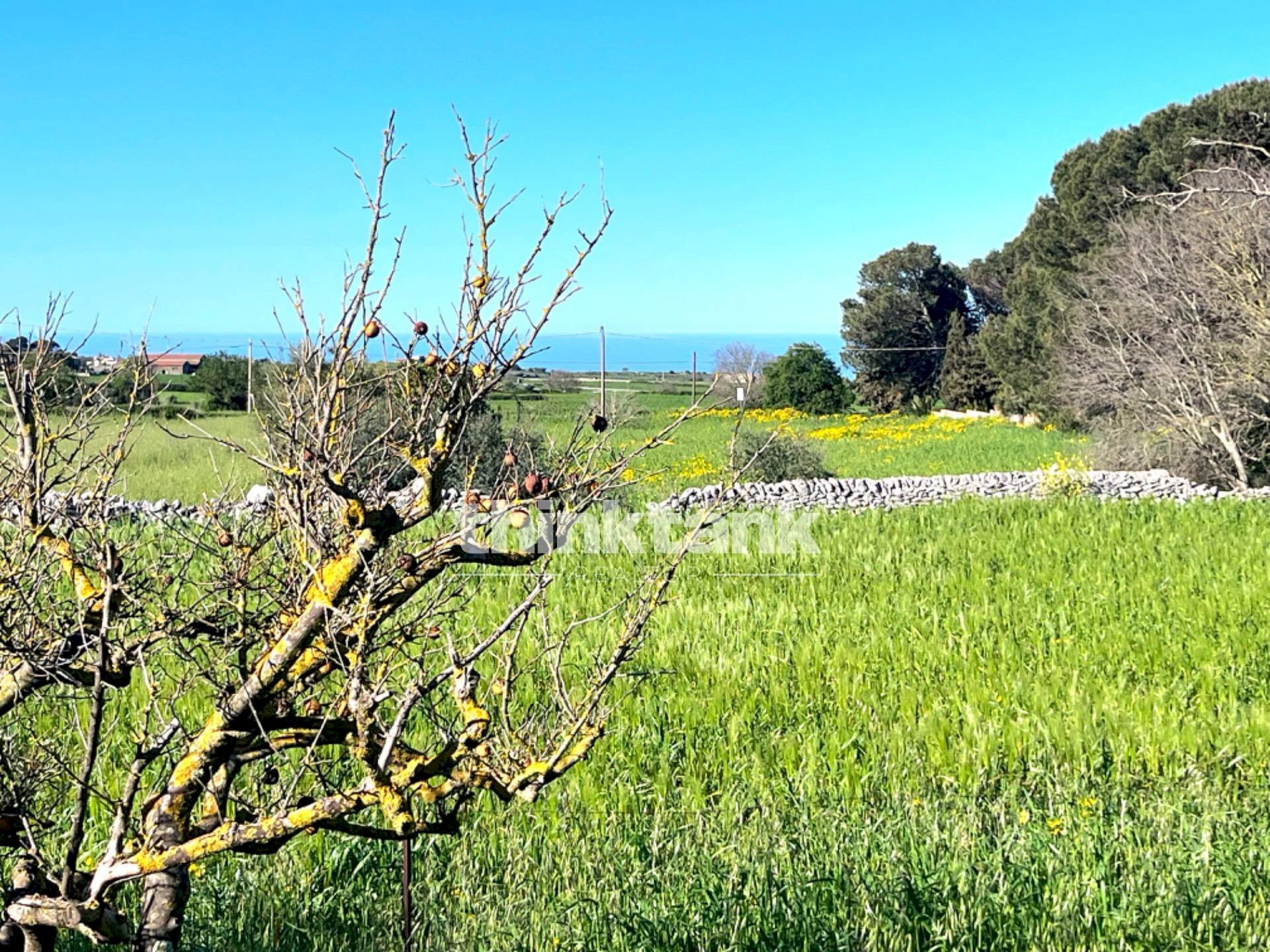 Foto 3 - Villa Contrada Tribastone, Ragusa - foto 3