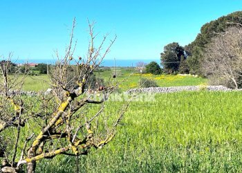 Foto 3 - Villa Contrada Tribastone, Ragusa - foto 3