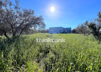 Foto 8 - Villa Contrada Tribastone, Ragusa - foto 8