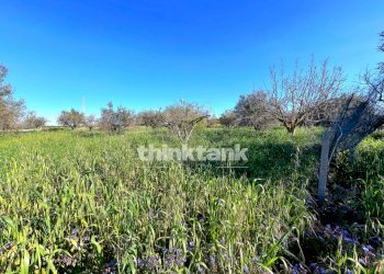 Foto 46 - Villa Contrada Tribastone, Ragusa - foto 46