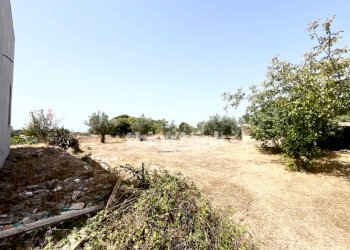 Foto 11 - Villa Contrada Tribastone, Ragusa - foto 11