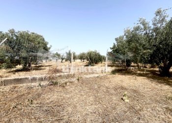 Foto 15 - Villa Contrada Tribastone, Ragusa - foto 15