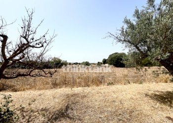 Foto 19 - Villa Contrada Tribastone, Ragusa - foto 19
