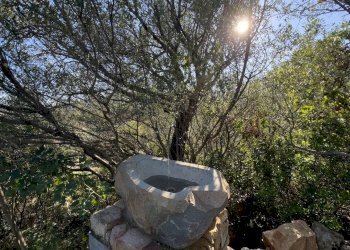 Foto 25 - Agricultural land Località Orteduso, Castiadas - photo 25