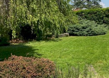 Terreno - Villa via 4 Novembre, 13, Chieri - foto 16