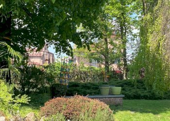 Giardino - Villa via 4 Novembre, 13, Chieri - foto 25