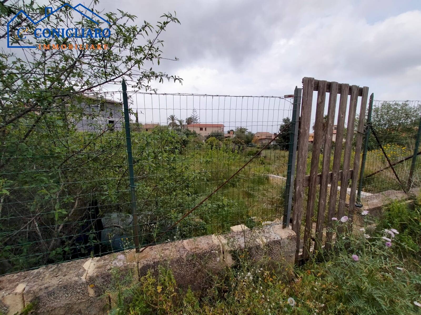 Foto 3 - Terreno agricolo Contrada Cannita, Misilmeri - foto 3