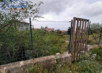 Foto 3 - Terreno agricolo Contrada Cannita, Misilmeri - foto 3