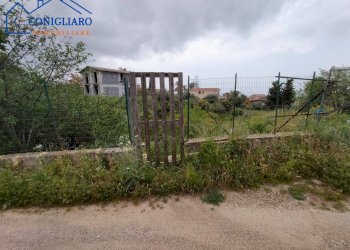 Foto 4 - Terreno agricolo Contrada Cannita, Misilmeri - foto 4