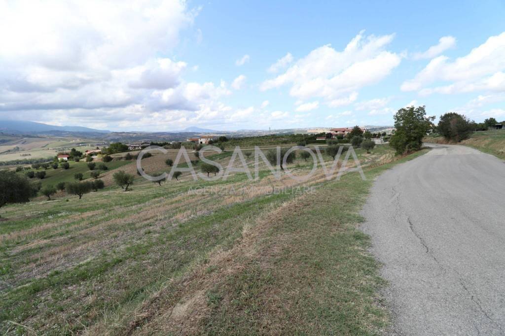 Terreno - Rustic via Villa De Luca, Bellante - photo 3