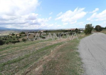 Terreno - Rustic via Villa De Luca, Bellante - photo 3