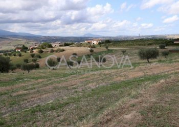 Terreno - Rustic via Villa De Luca, Bellante - photo 4