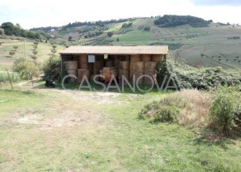 Terreno - Rustico via Villa De Luca, Bellante - foto 26