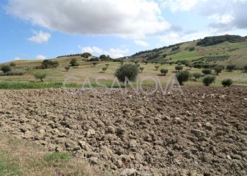 Terreno - Rustic via Villa De Luca, Bellante - photo 33