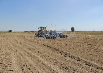 Terreno - Terreno agricolo Mosciano Sant'Angelo - foto 3